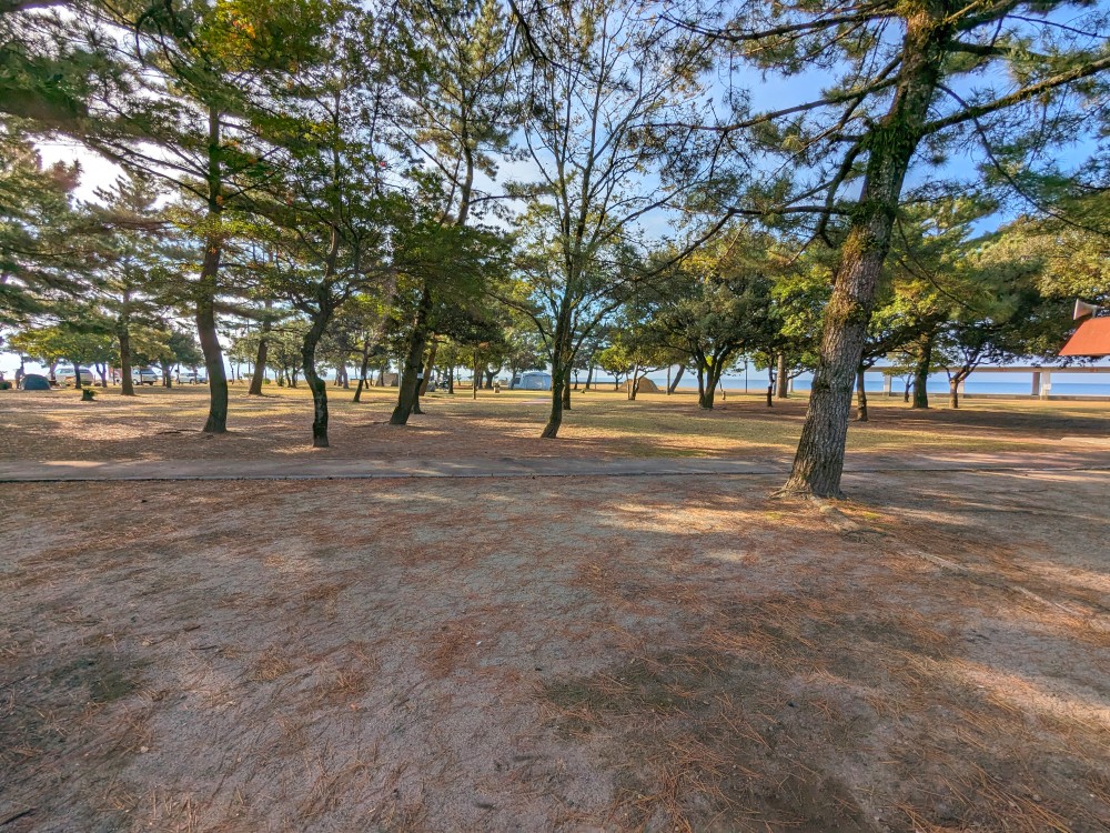 国分キャンプ海水浴場のテントサイト
