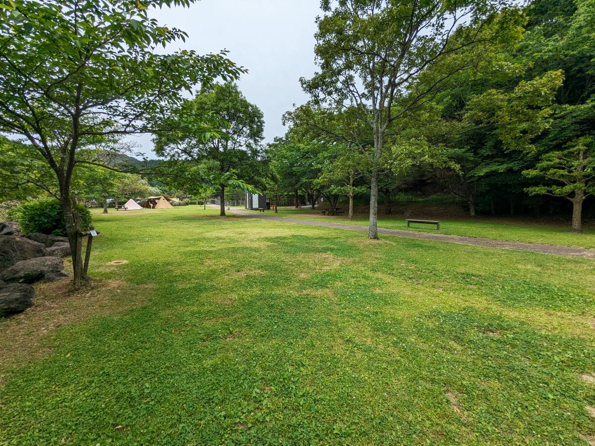 伊佐ノ浦公園のフリーサイト