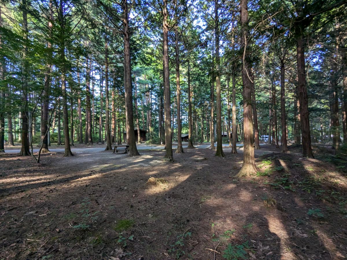 信州大芝高原オートキャンプ場(長野県南箕輪村)の区画サイト
