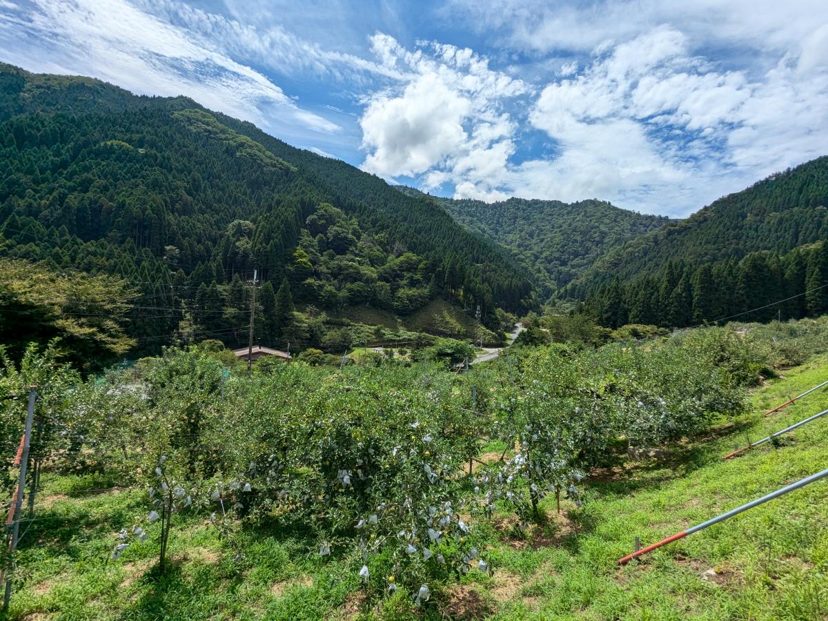 原不動滝キャンプ場