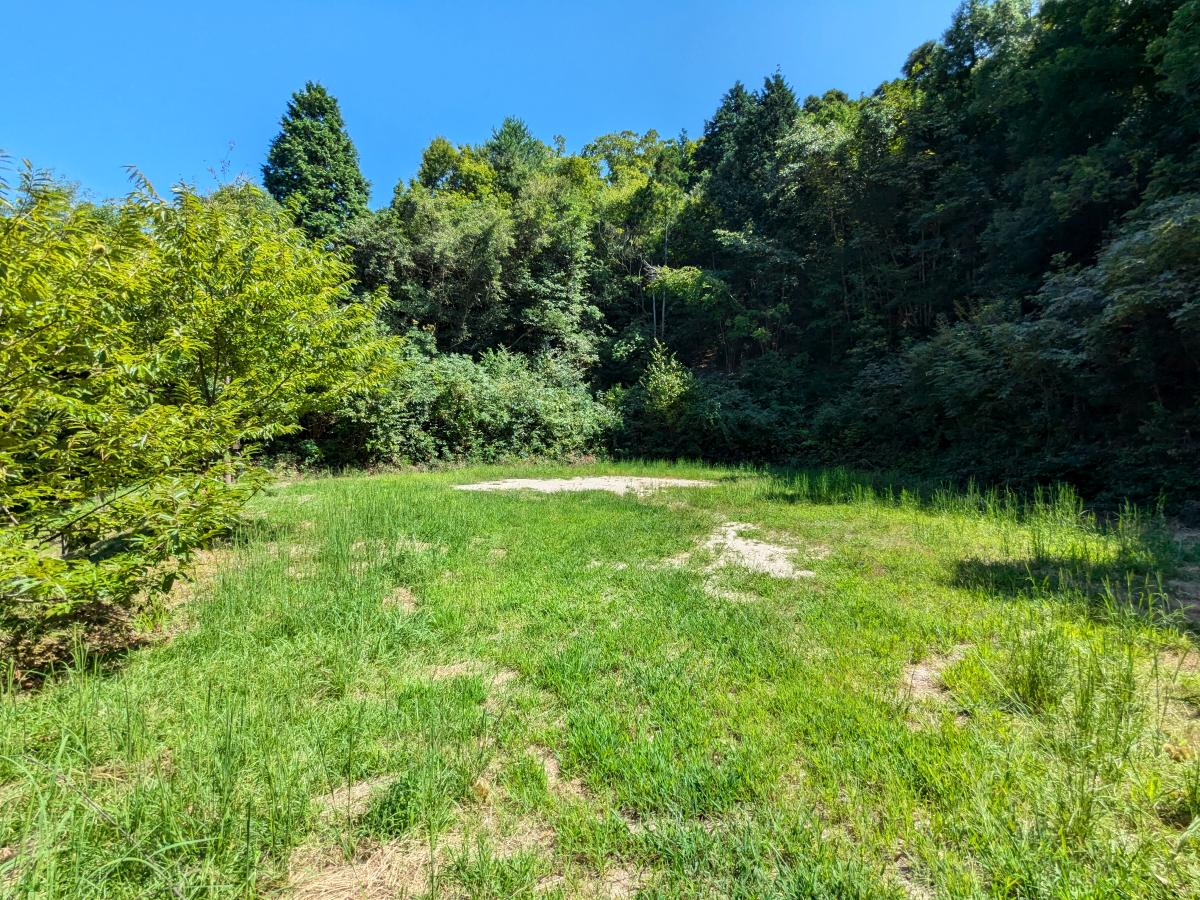 南部町森林公園キャンプ場