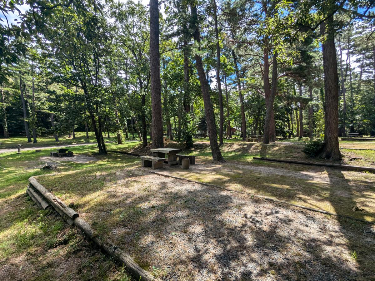 三瓶山北の原キャンプ場