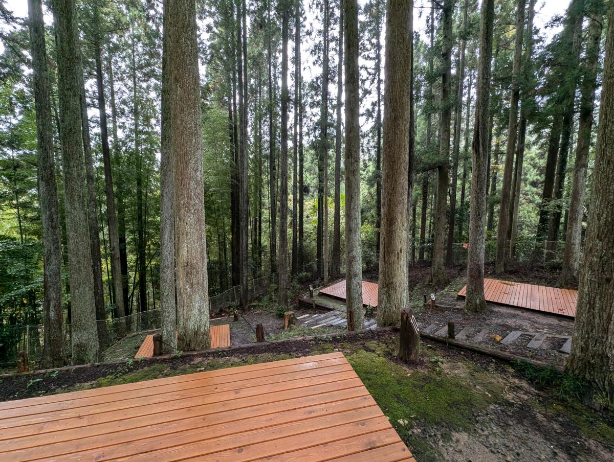 大多喜県民の森キャンプ場