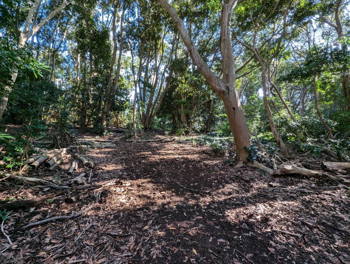 コーラル南房総オートキャンプ場