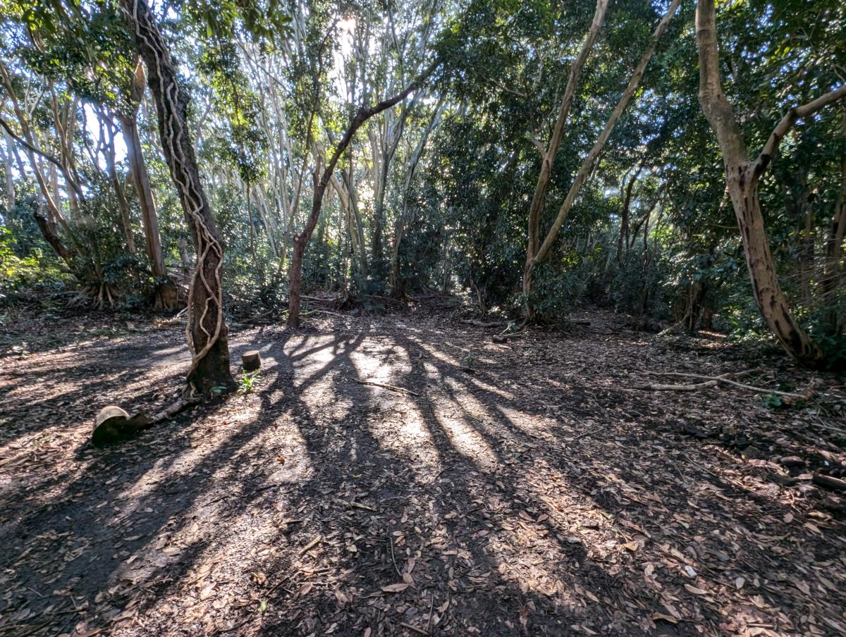 コーラル南房総オートキャンプ場