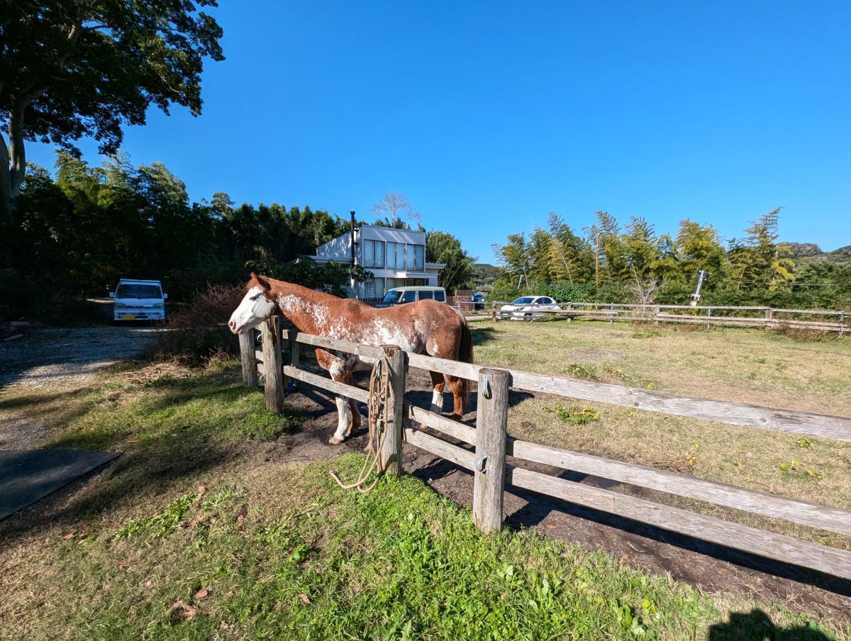 コーラル南房総オートキャンプ場