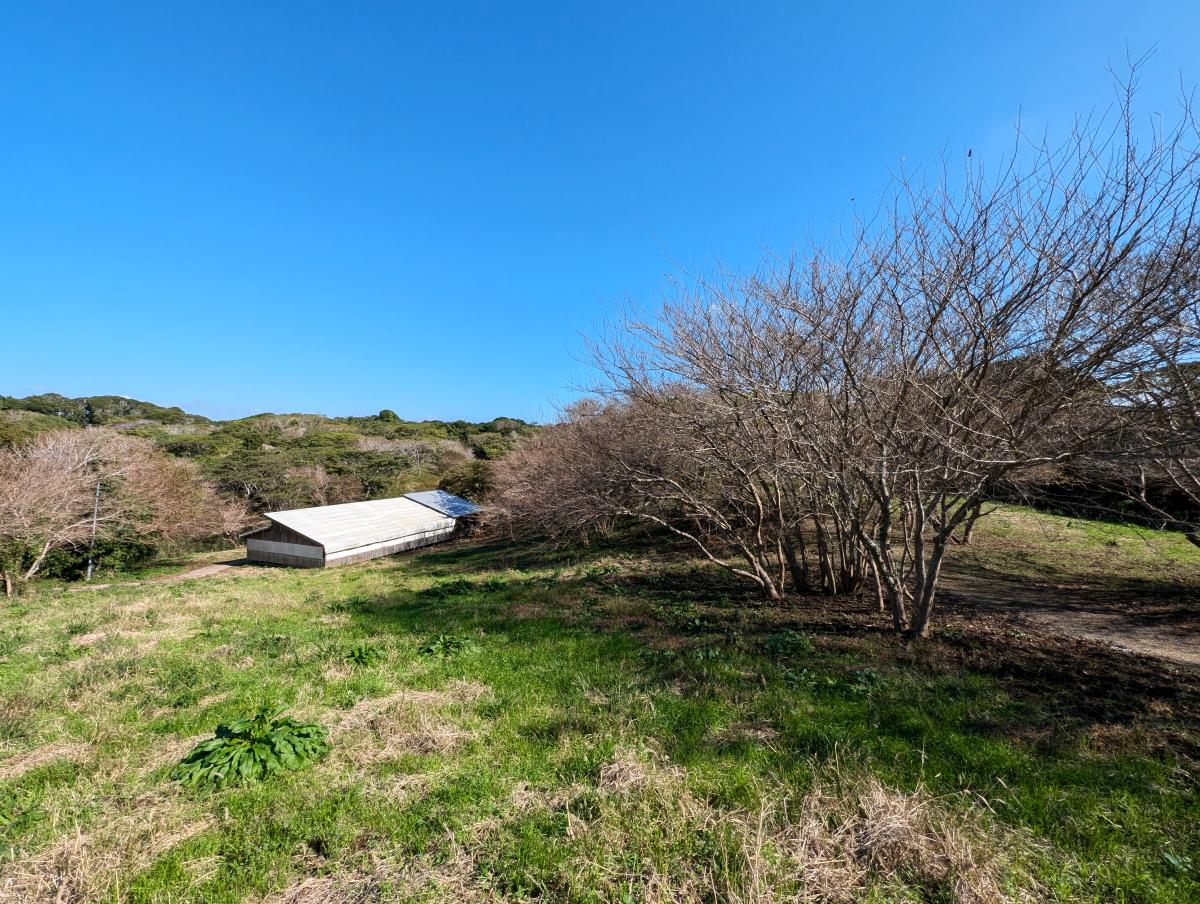 CIMAたてやま体験センター