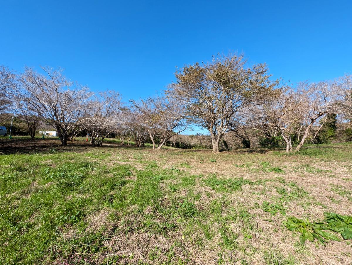 CIMAたてやま体験センター