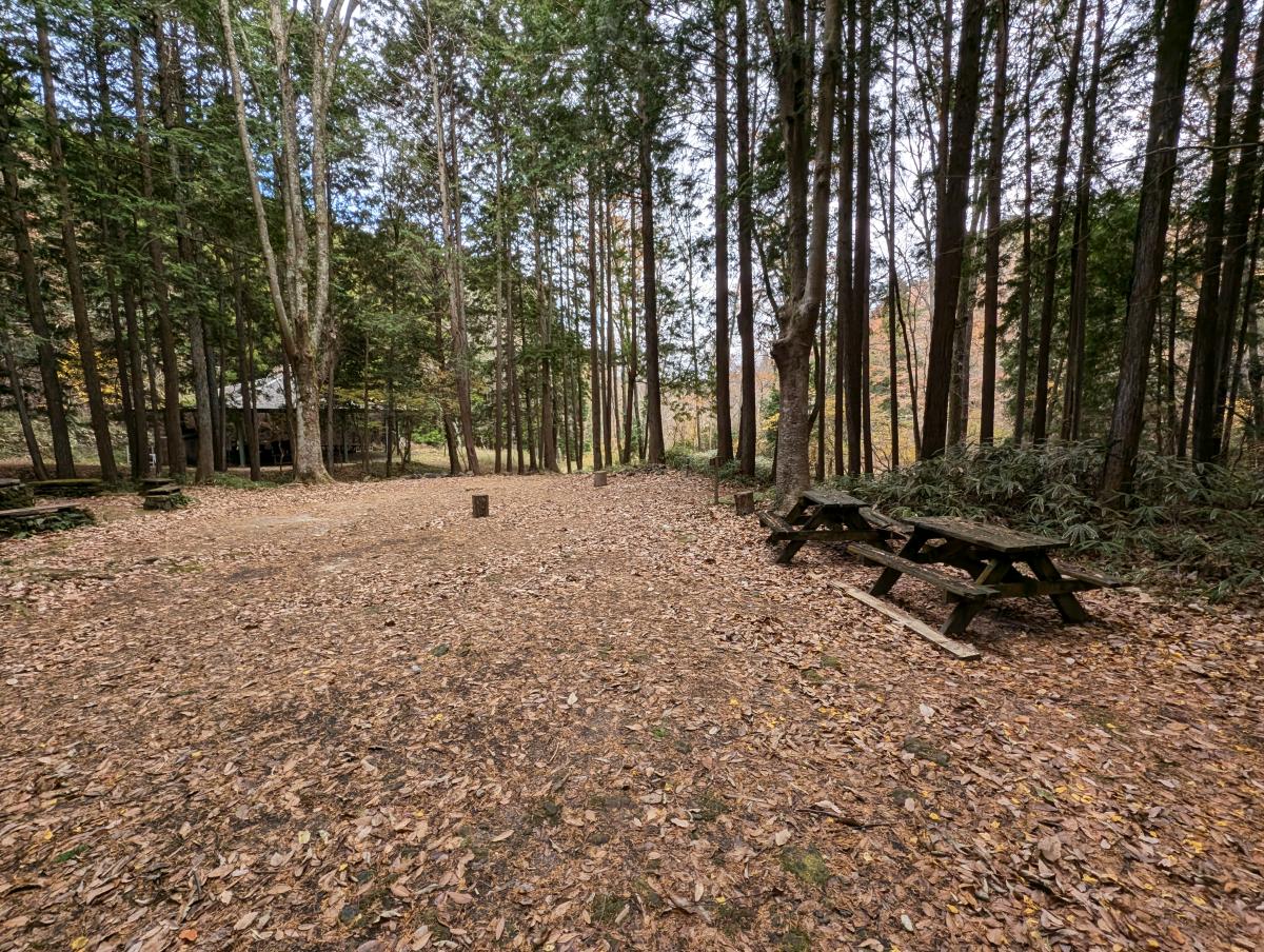 はやまの森野営場