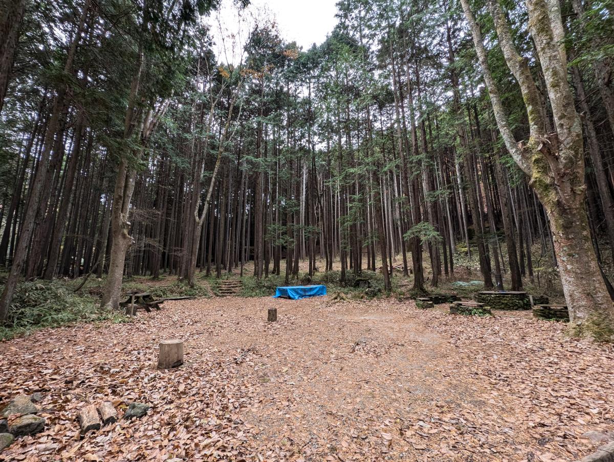はやまの森野営場