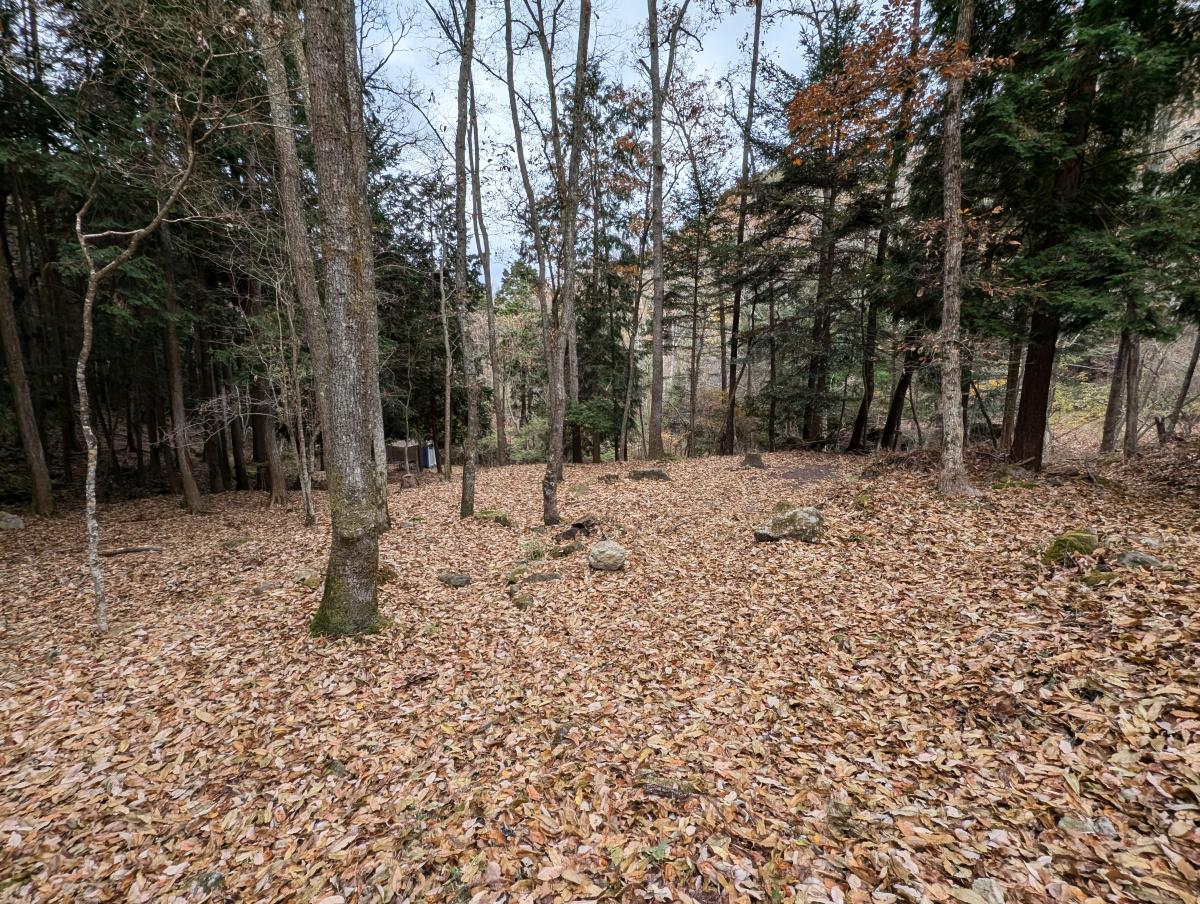 はやまの森野営場