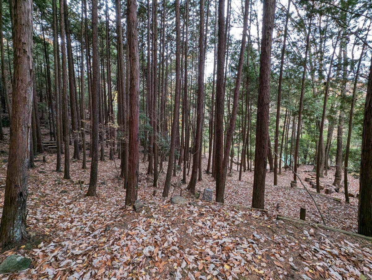 はやまの森野営場