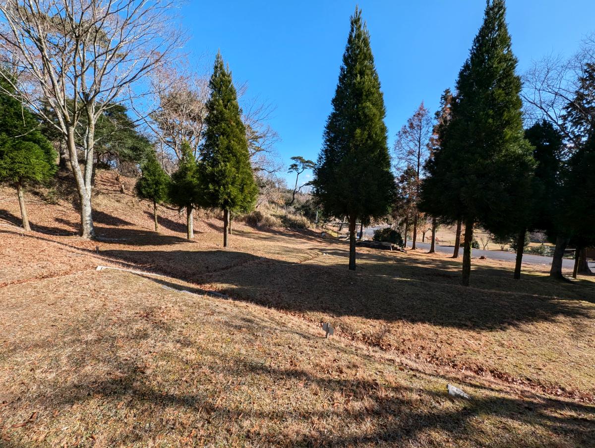 青山高原保健休養地キャンプ場