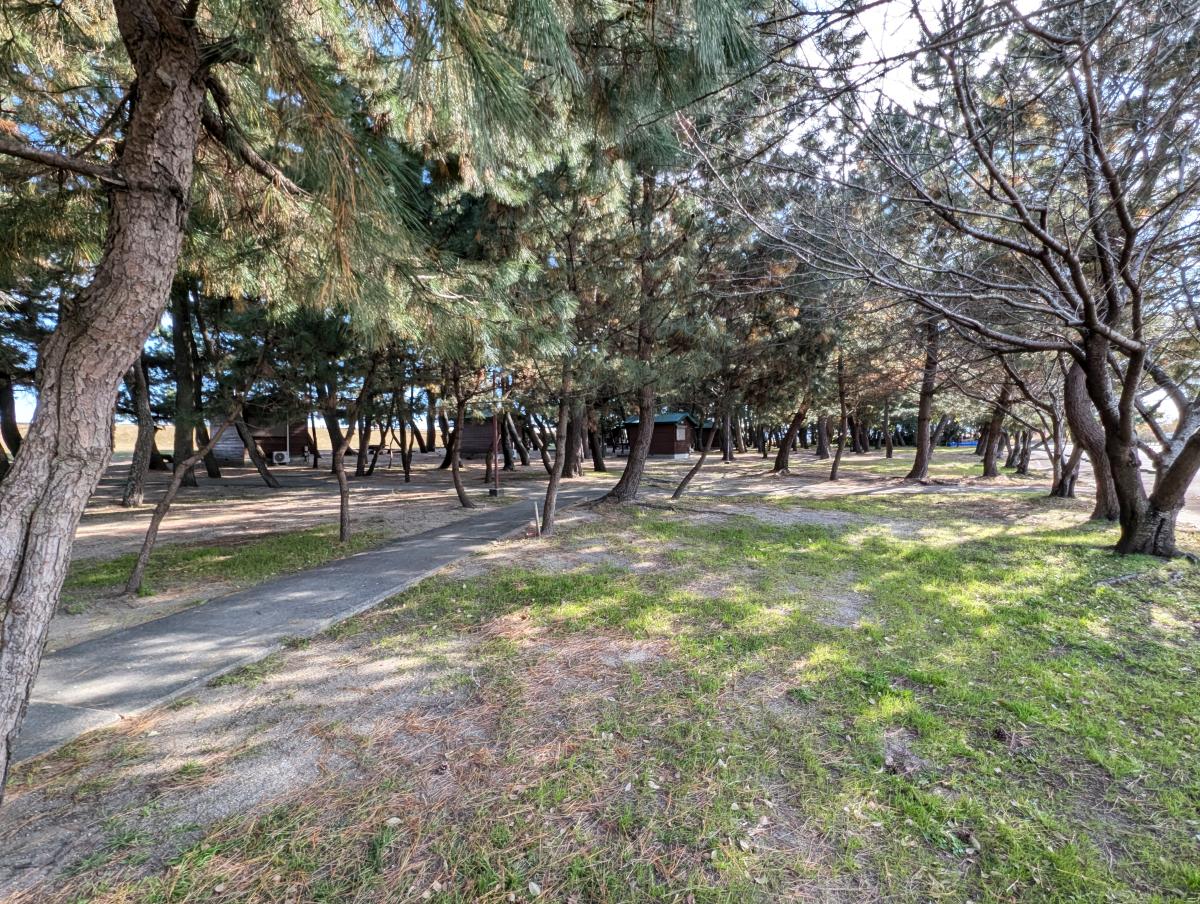 大淀ふれあいキャンプ場