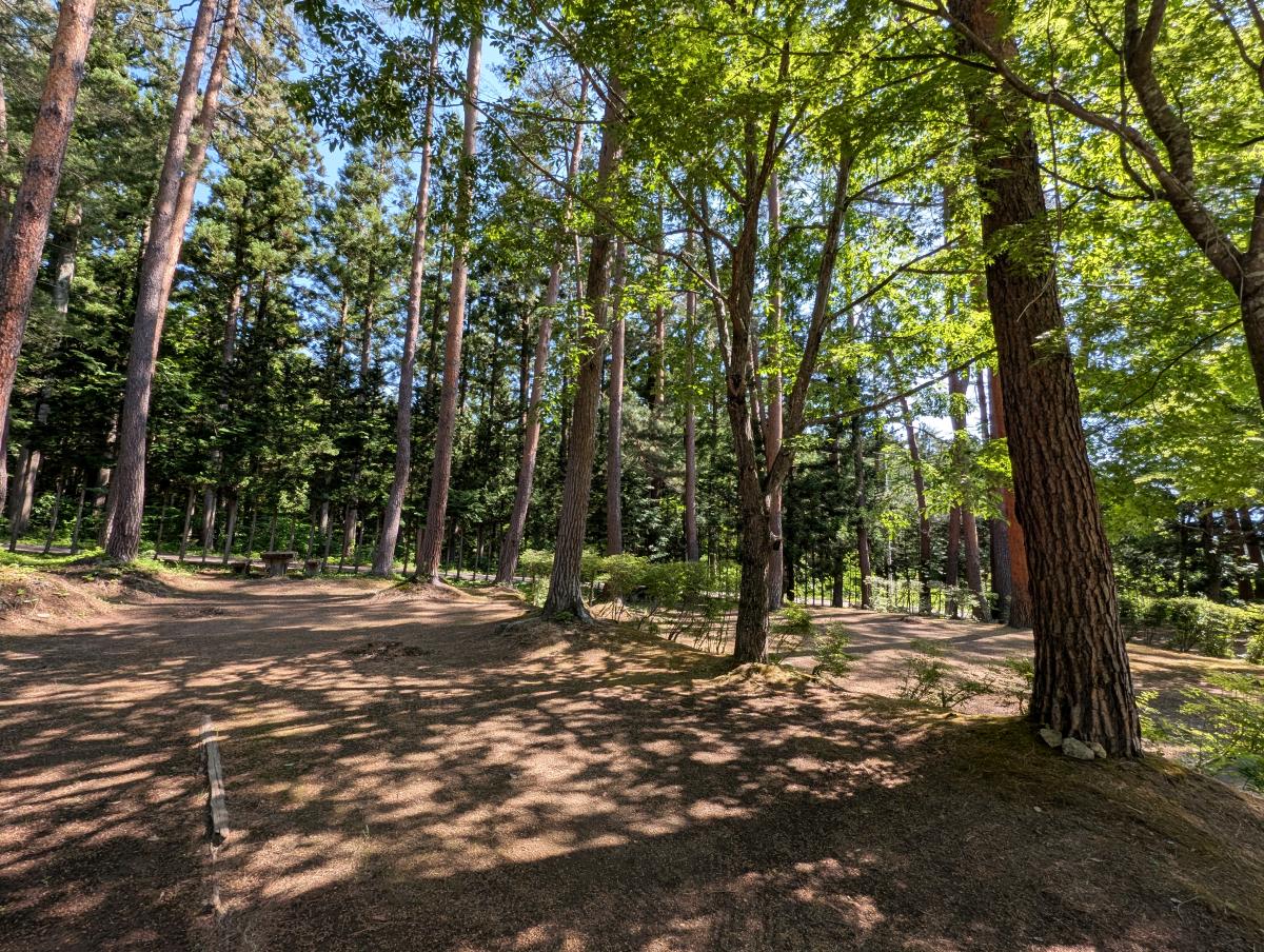 会津山村道場 うさぎの森オートキャンプ場