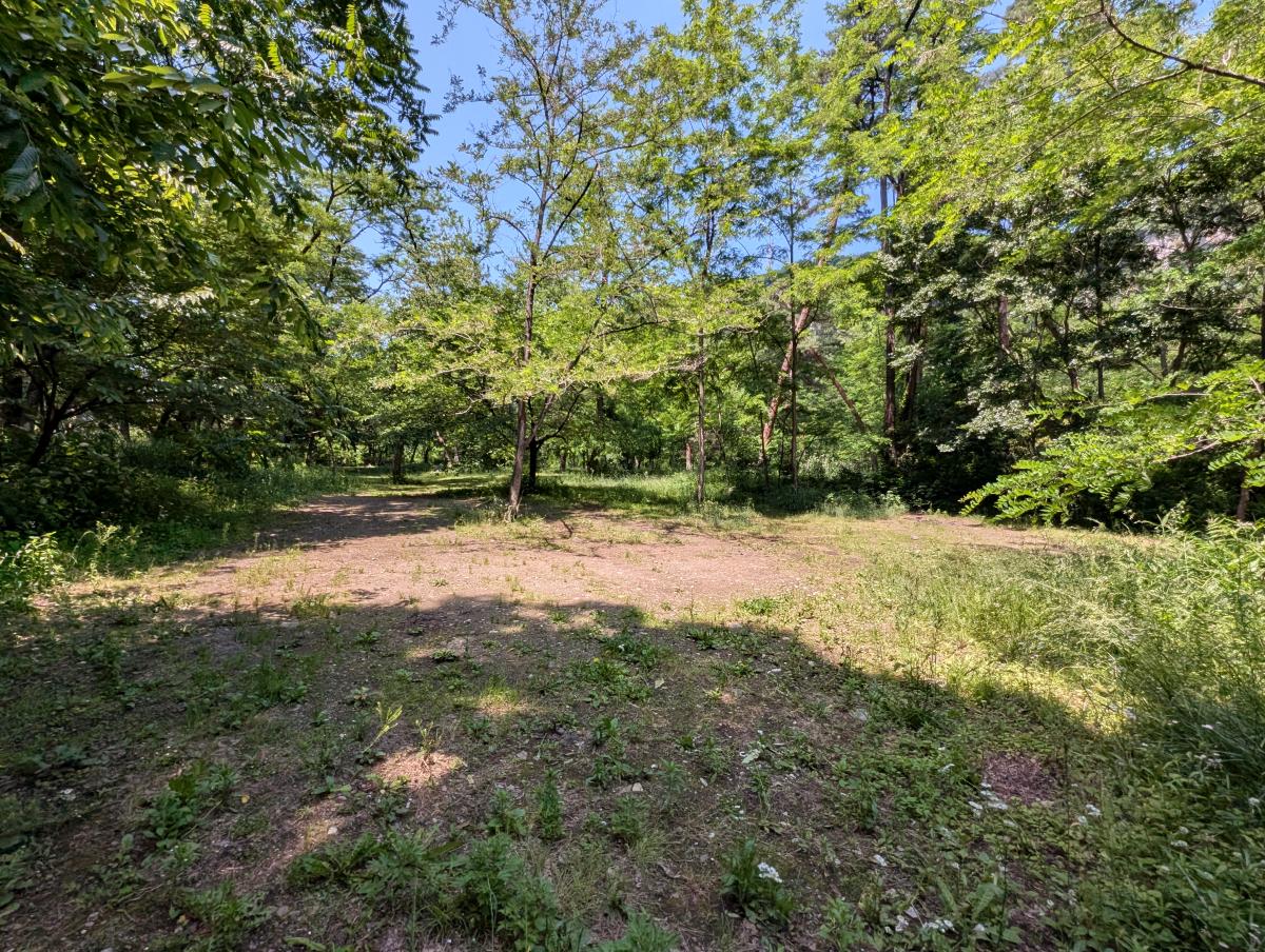 ひするまキャンプ場