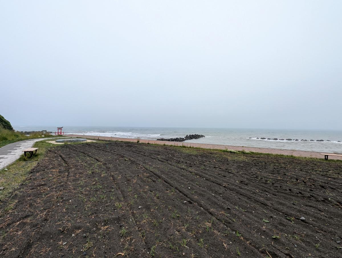 金比羅岬キャンプ場