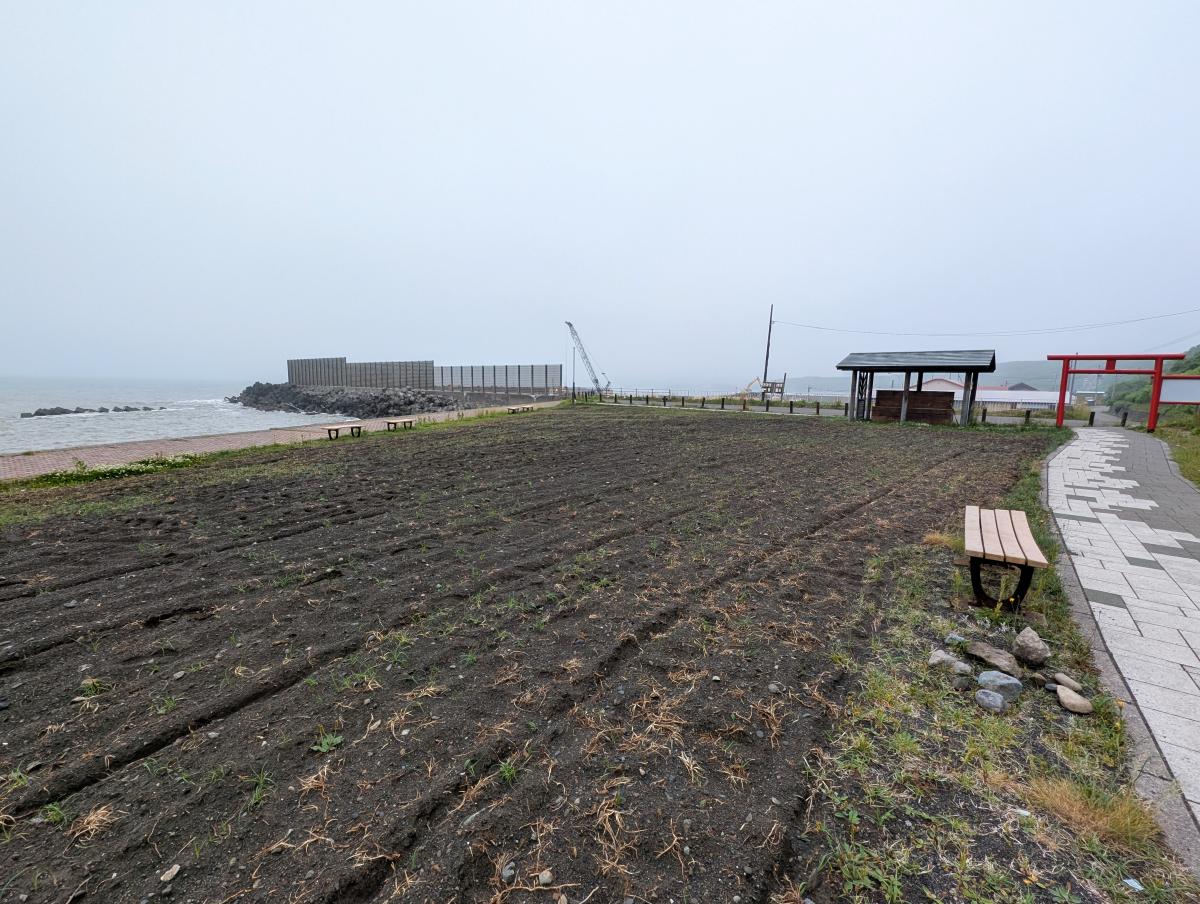 金比羅岬キャンプ場