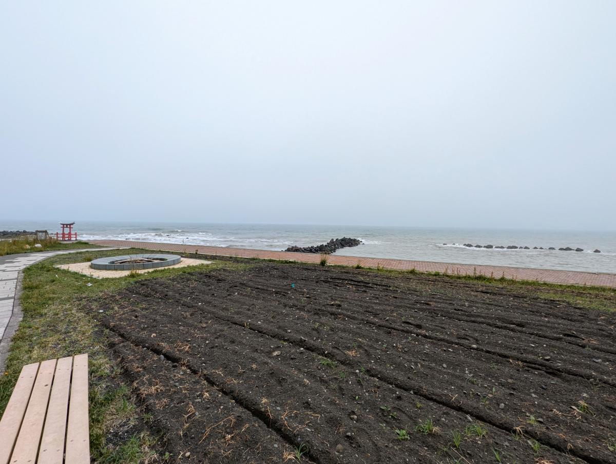 金比羅岬キャンプ場