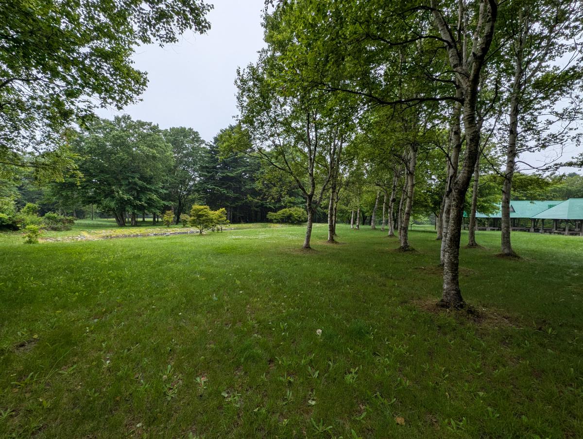 富士見ヶ丘公園キャンプ場