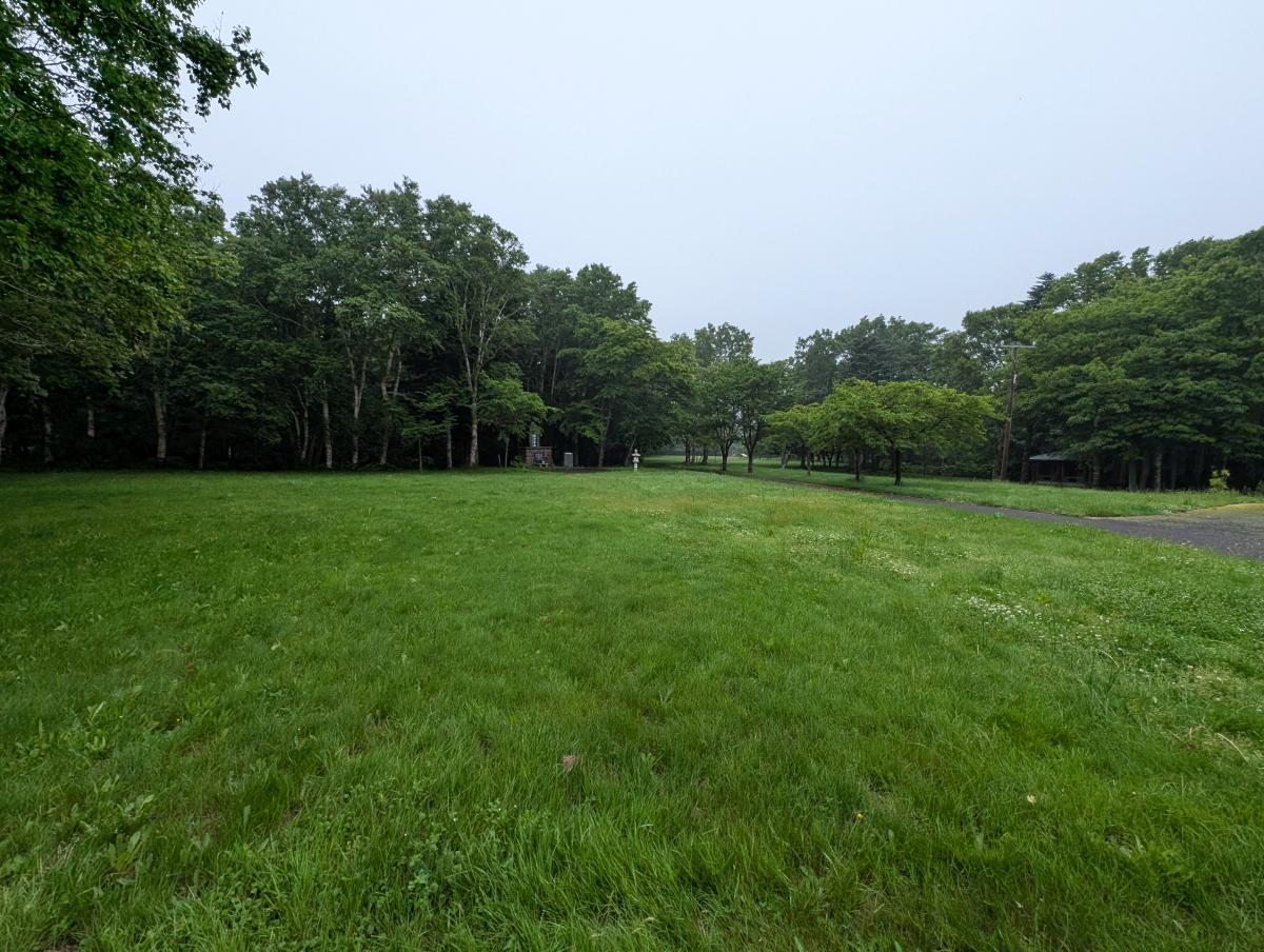 富士見ヶ丘公園キャンプ場