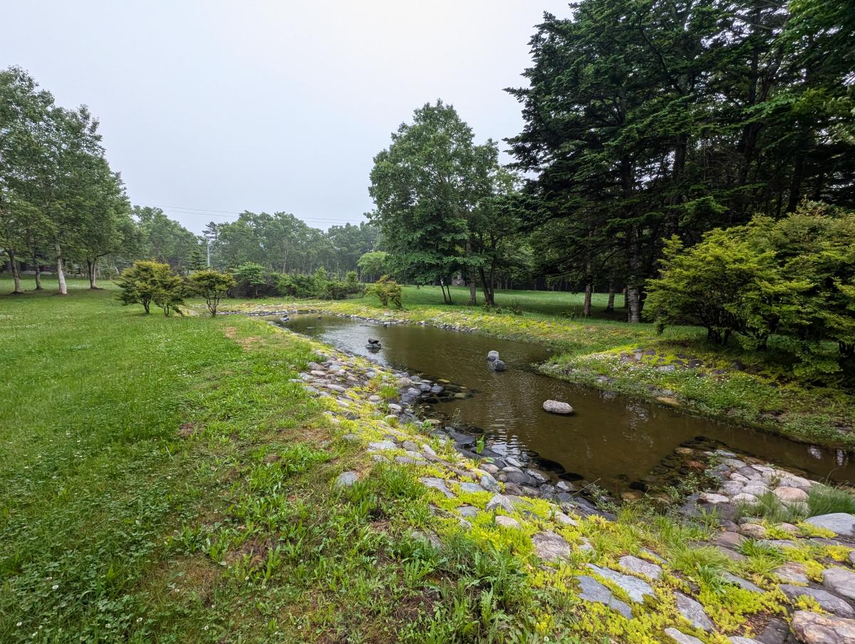 富士見ヶ丘公園キャンプ場